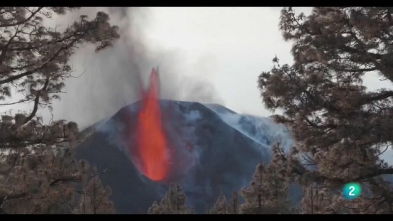 Telecanarias 2 - 18/11/2022 | Ver