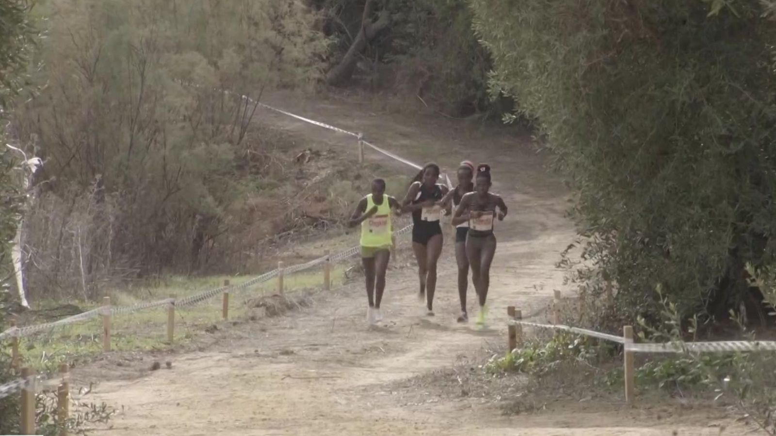 Cross - Cross Internacional de Itálica. Carrera Femenina - ver ahora