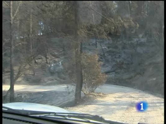  - Fue intencionado y alimentado