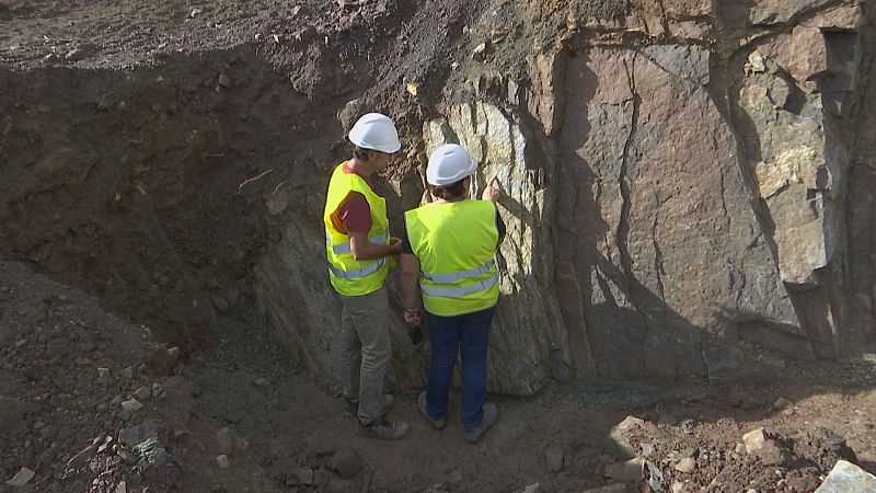 Nuevo yacimiento fósil en Algeciras