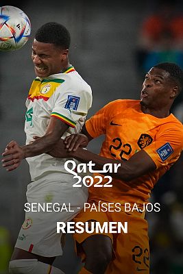 Resúmenes Copa Mundial de la FIFA Catar 2022 - Senegal - Países Bajos: resumen y resultado