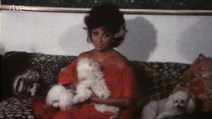 Bla, bla, bla - 26/06/1981