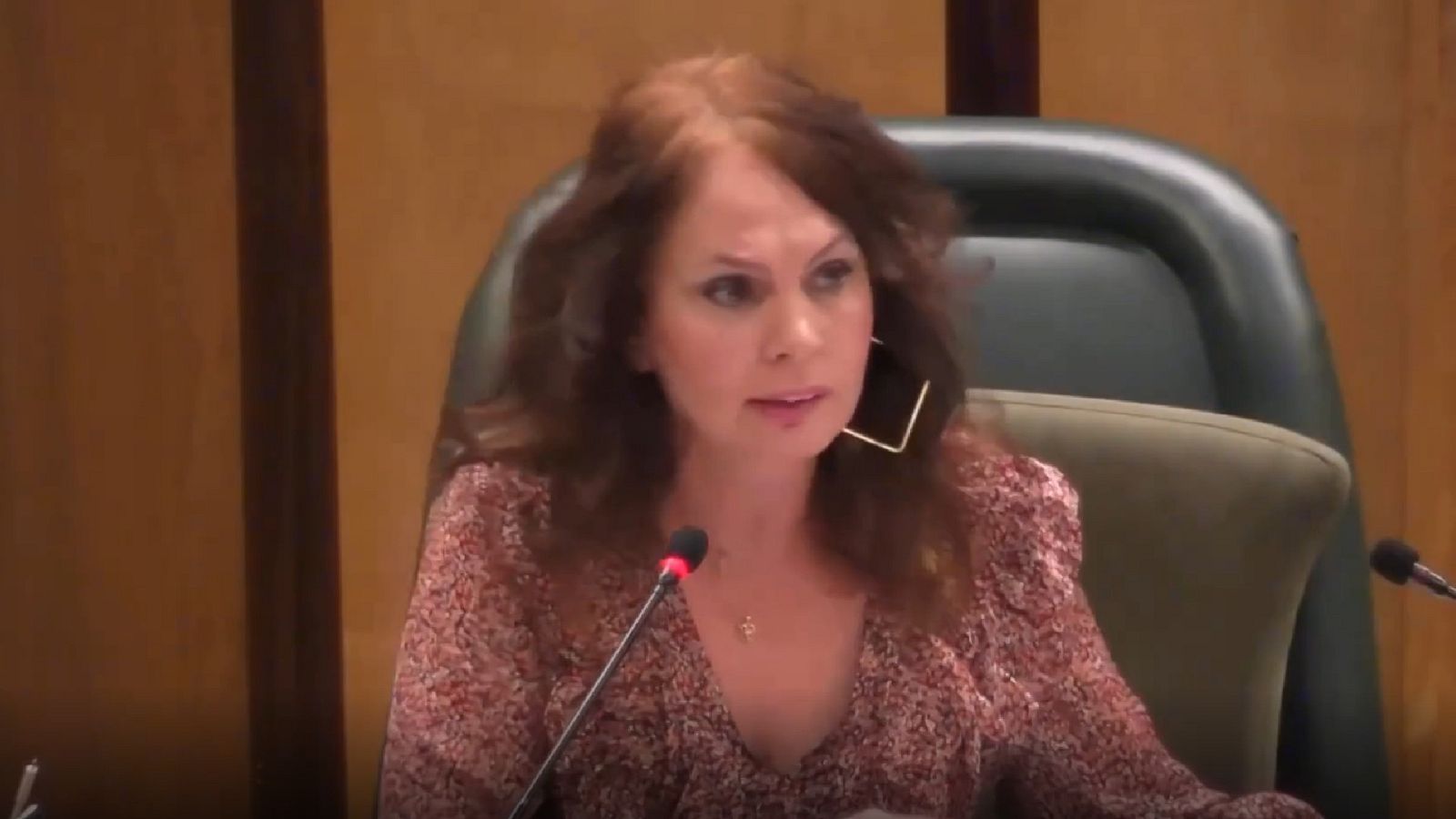 Una concejal de Ciudadanos en Zaragoza asegura que "Irene Montero está donde está porque la ha fecundado el macho alfa"