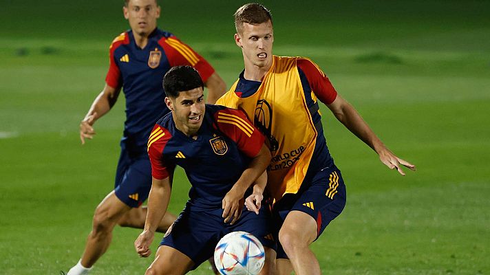 Telediario en lengua de signos - Telediario - 8 horas - 23/11/22 - Lengua de signos