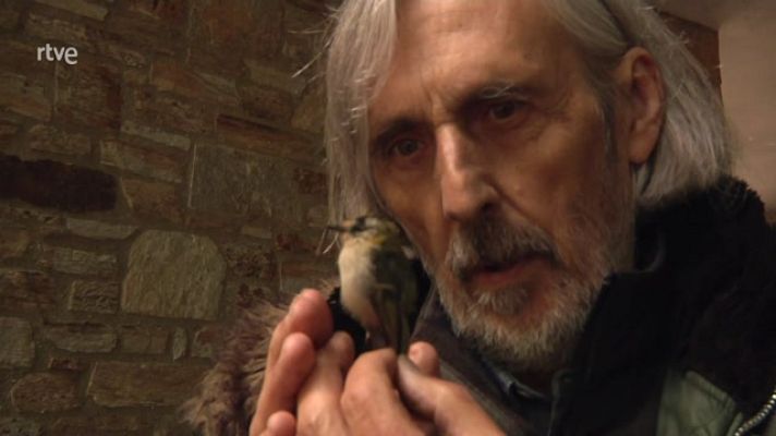 La aventura del Saber - Después de la ballena Manuel Vilariño