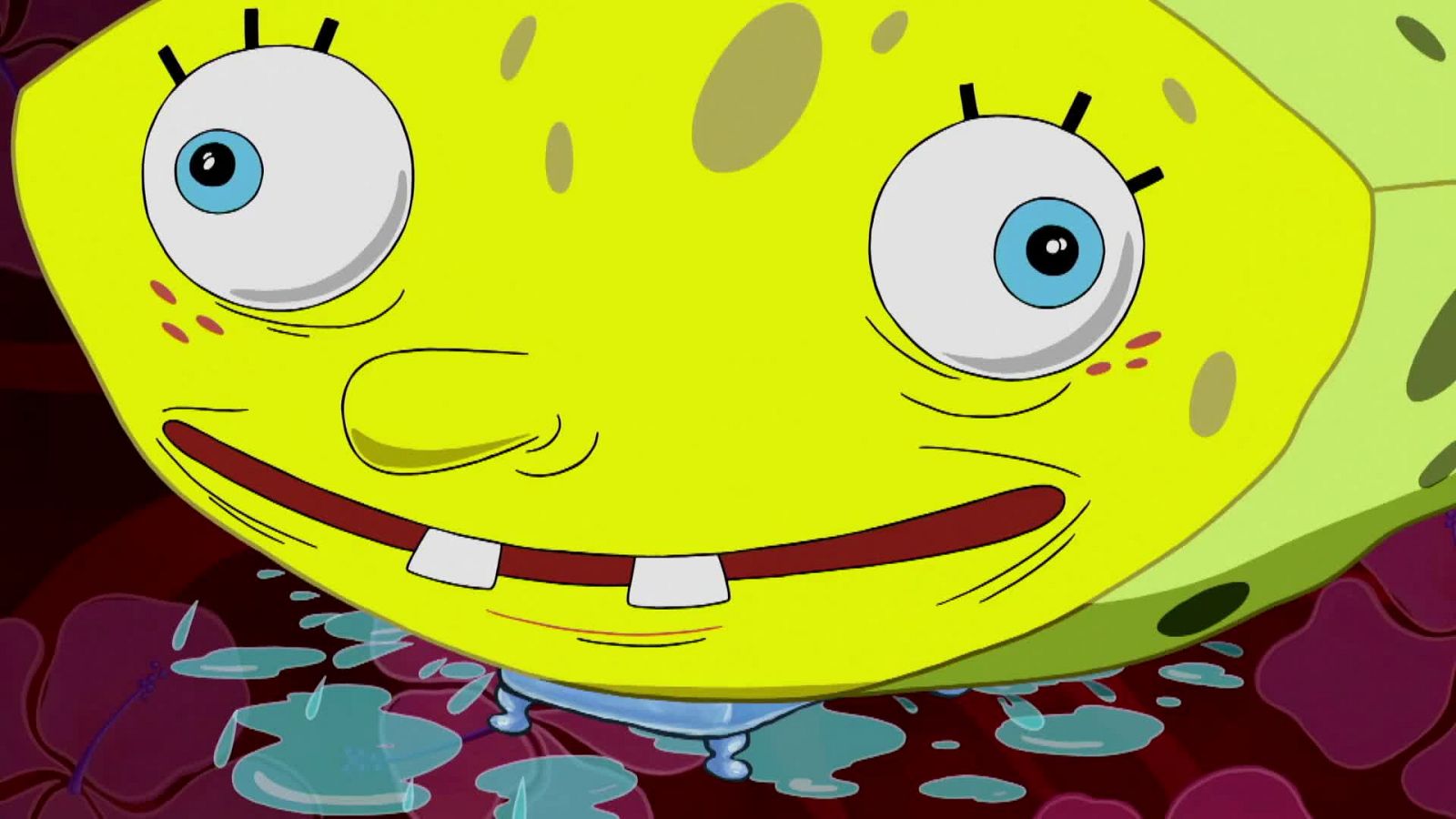 Arre, Patricio - Bob Esponja | Ver