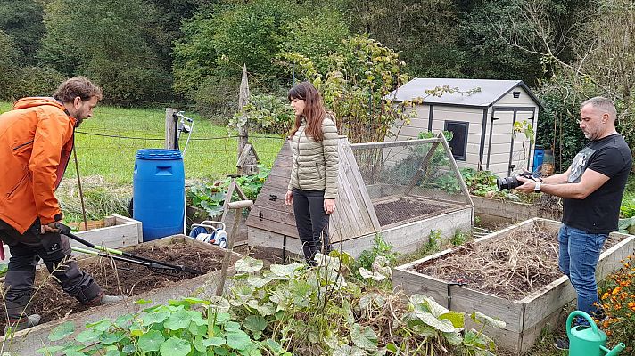 El escarabajo verde - Eco-Influencers