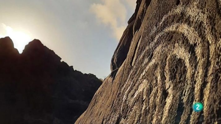 Telecanarias - Telecanarias 2  - 24/11/2022