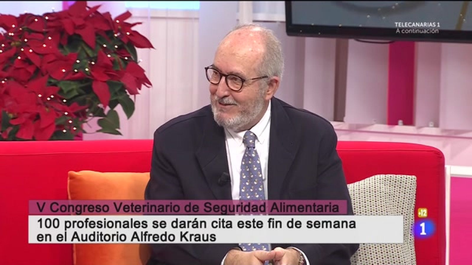 Cerca de ti - 25/11/2022