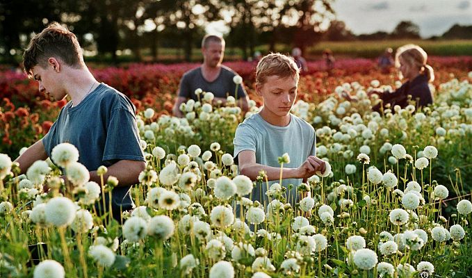 Días de cine - Días de Cine: Close.