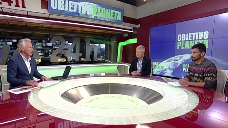 El impacto de los gatos domésticos