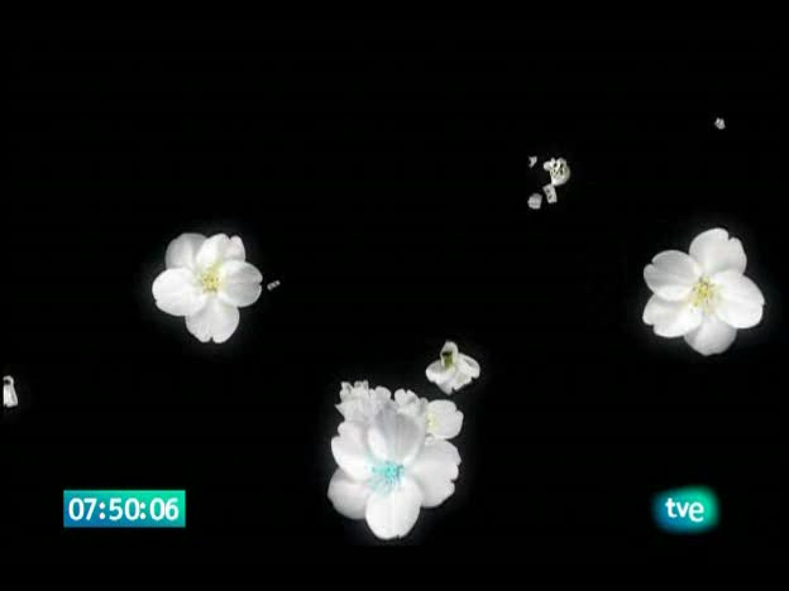 El jardín de los sueños - El Jardín de los Sueños | Ver