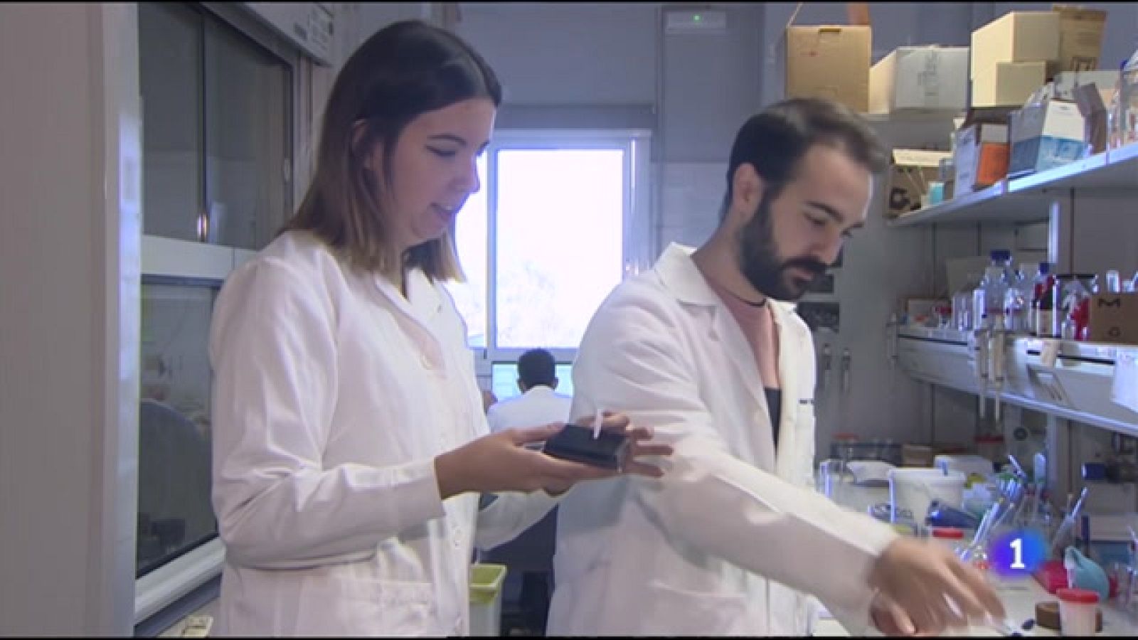 L'Informatiu Comunitat Valenciana 1 - 28/11/22 ver ahora