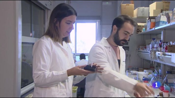 L'informatiu - Comunitat Valenciana - L'Informatiu Comunitat Valenciana 1 - 28/11/22