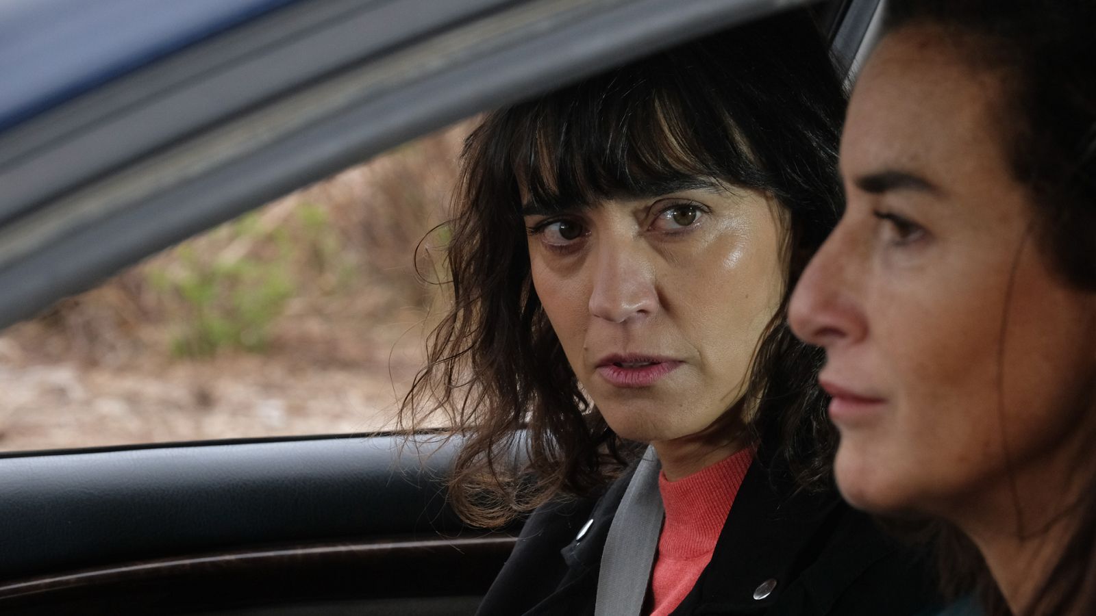 Servir y proteger - Episodio 1351 - Ver ahora