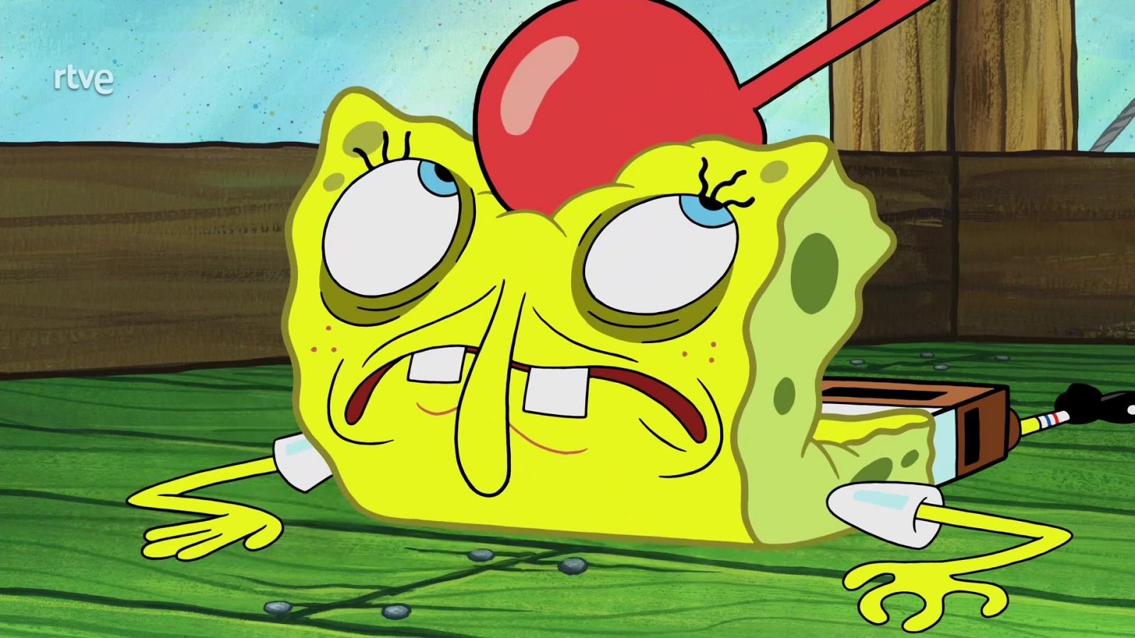 Paranoia plankton - Bob Esponja | Ver