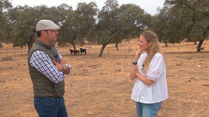 Comando Actualidad - Cambio de tercio