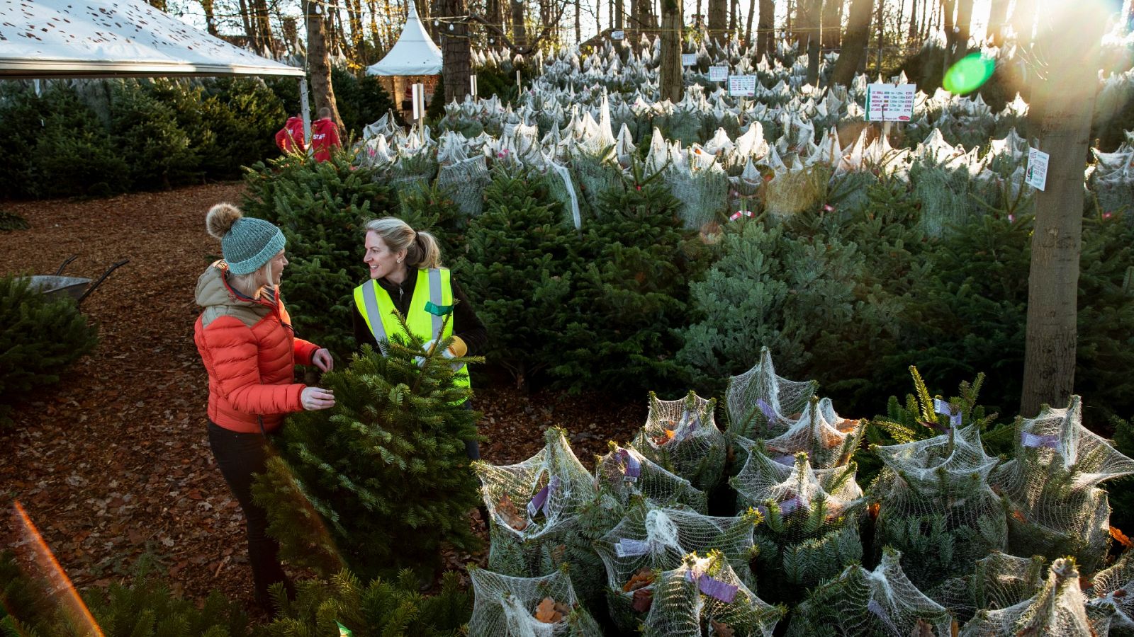 Con la temporada navideña, suben las contrataciones para cubrir la demanda en estas fiestas, aunque este año la subida será de un 5%, según Adecco, un dato inferior al 10% o 20% de años anteriores.