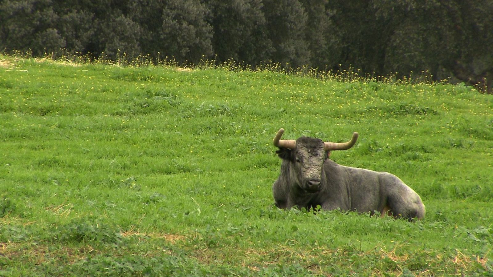 Tendido cero - 03/12/22 - ver ahora