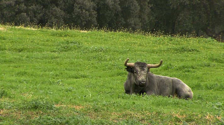Tendido cero - Tendido cero - 03/12/22