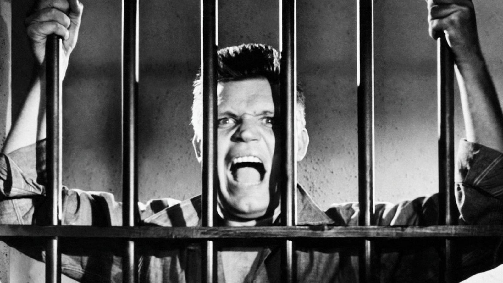 Días de cine recomienda los libros 'Dejadme salir de aquí! Atrapados en la pantalla' y 'Vamos a morir todos', de Diábolo ediciones | Ver