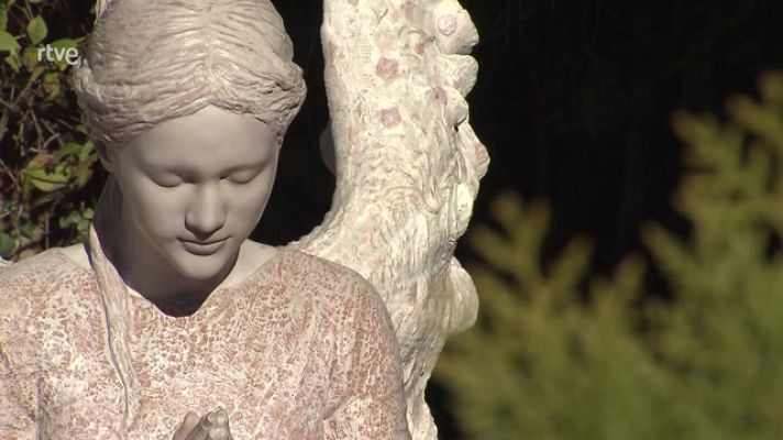 Últimas preguntas - Javier Viver