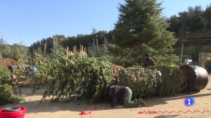 L'Informatiu - Molts visitants a la Fira de l'Avet d'Espinelves