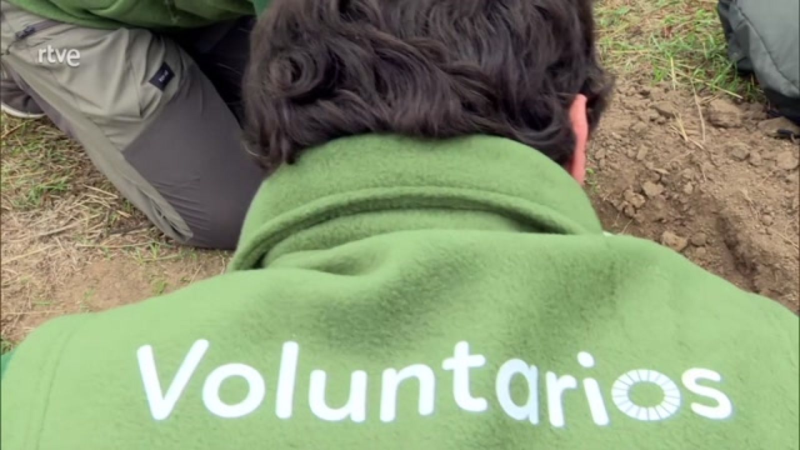 Aquí hay trabajo - Trabajadores y voluntarios - ver ahora