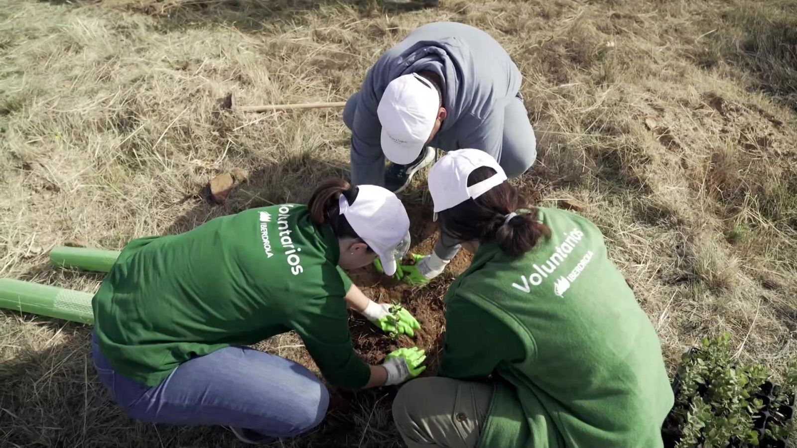 Aquí hay trabajo - 05/12/22 - ver ahora