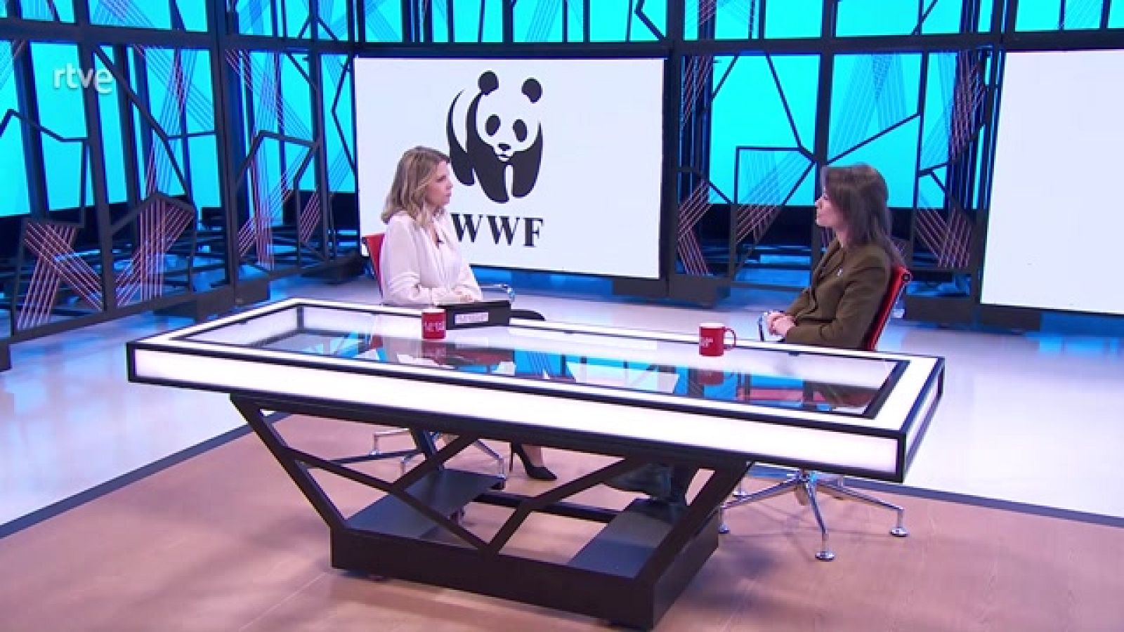 Mara Peterssen y Laura Moreno, de WWF España, comentan las conclusiones de la COP19 de CITES, la cumbre internacional que tiene como objetivo acordar medidas que protejan la biodiversidad.