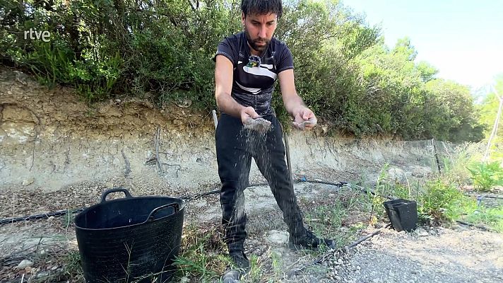 Va de verd - Aquests excrements són or per a la terra