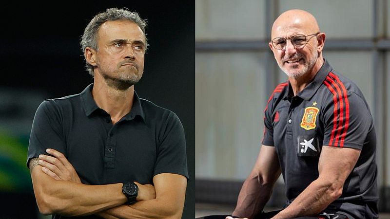 Luis Enrique deja de ser el seleccionador de España - Informativo 24h | Ver