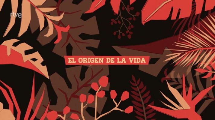 La aventura del Saber - CSIC. ¿Cómo surgió la vida?