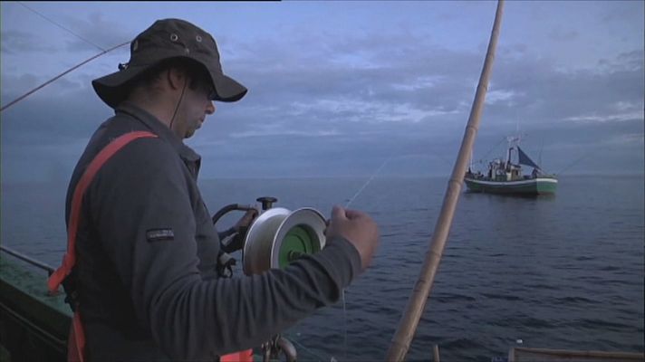 Noticias Andalucía - Consejo de Pesca de la UE