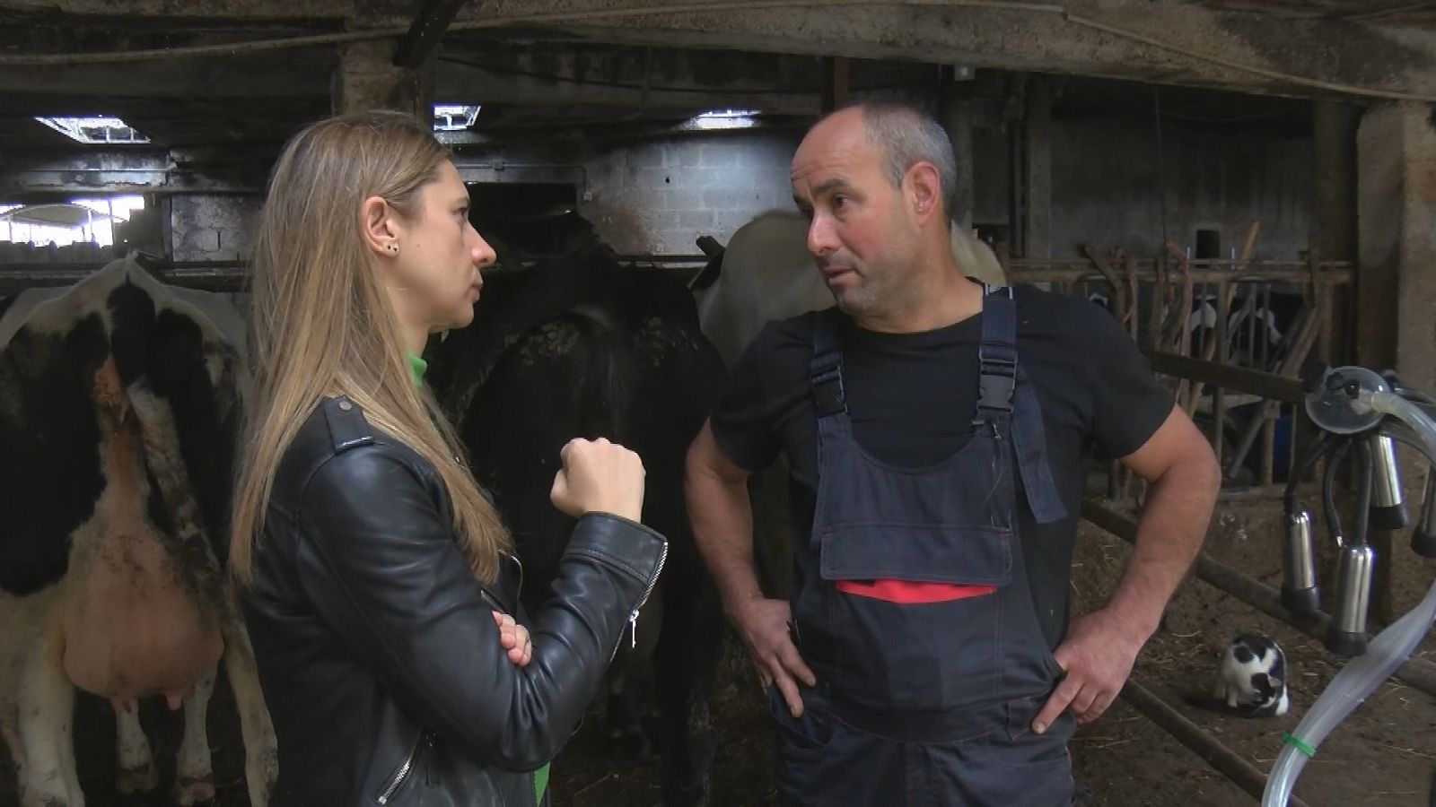 Comando actualidad - Básicos a precio de oro - Ver ahora