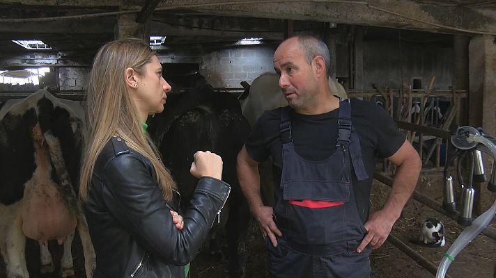 Comando Actualidad - Básicos a precio de oro