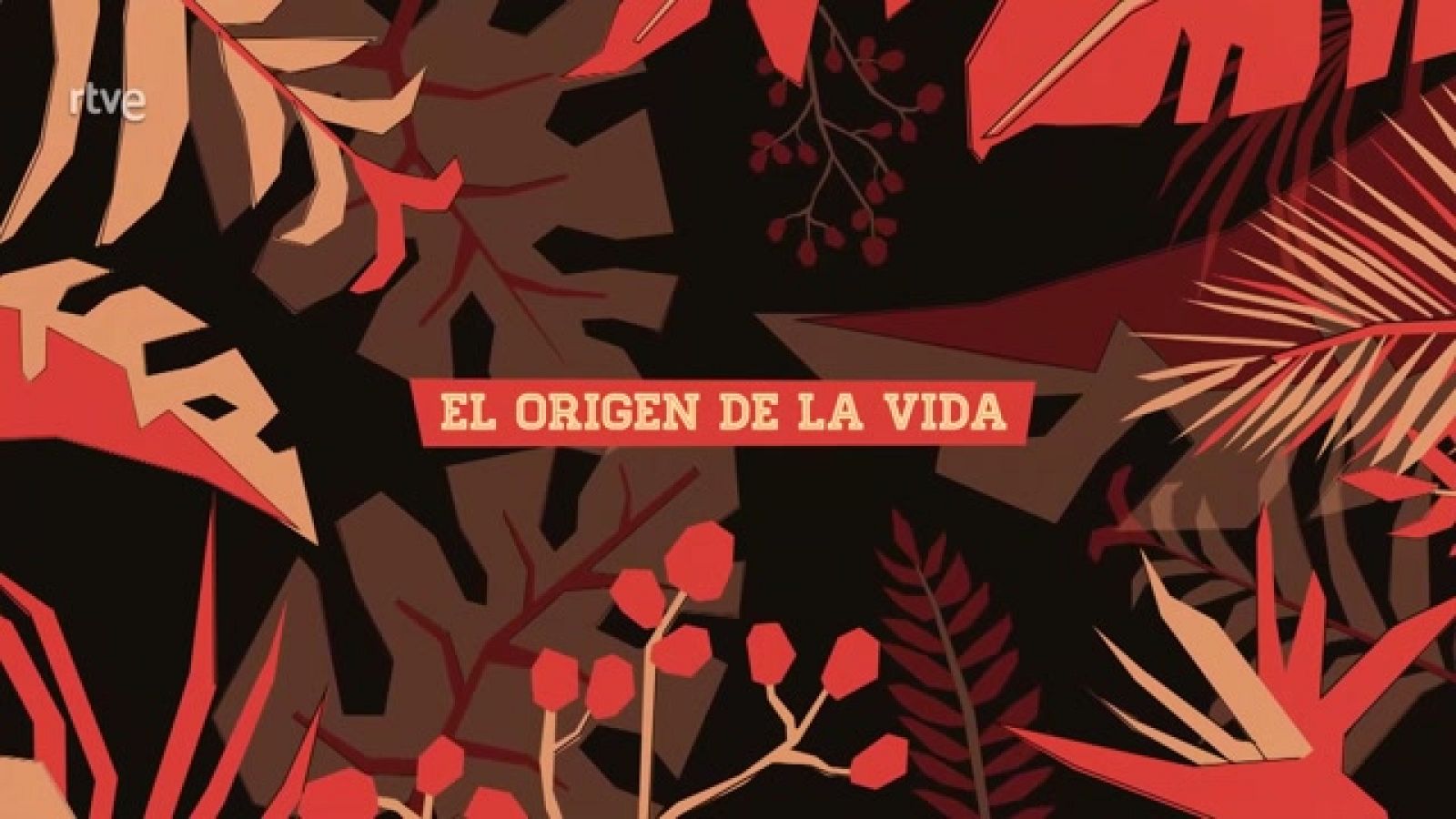 CSIC. El origen de la vida.