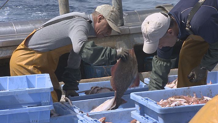 Noticias Andalucía - Acuerdo pesquero en la UE