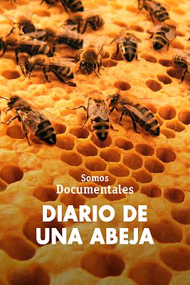 Somos Documentales - Diario de una abeja