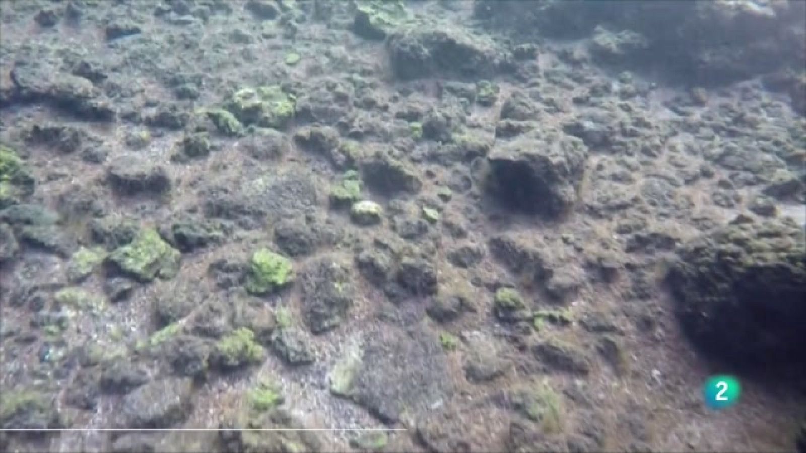 Telecanarias 2  - 13/12/2022