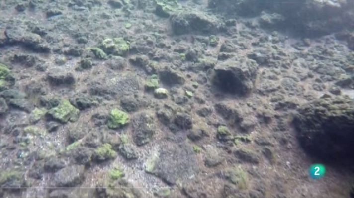 Telecanarias - Telecanarias 2  - 13/12/2022