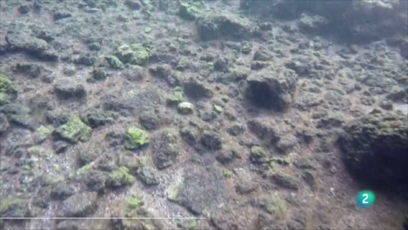 Telecanarias 2  - 13/12/2022