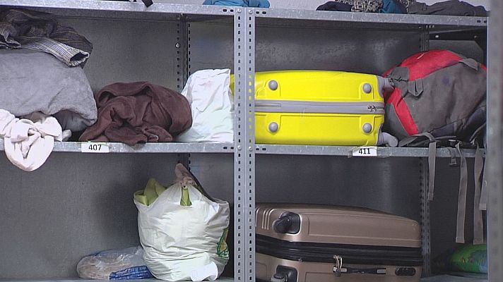 Noticias Andalucía - Poca aceituna, pocos temporeros