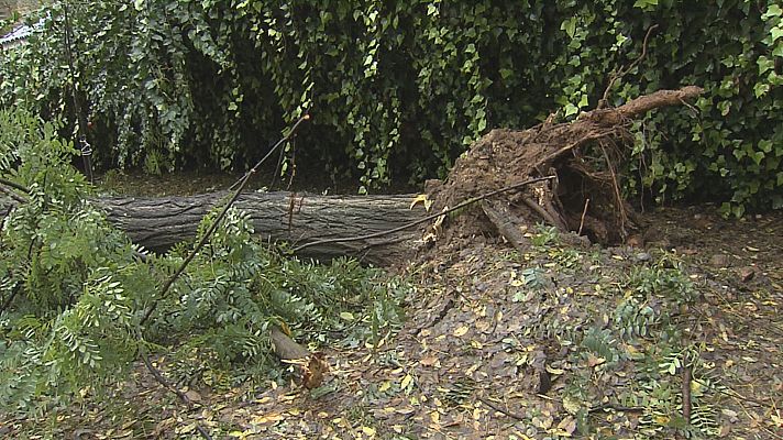 Noticias Andalucía - Efectos del temporal