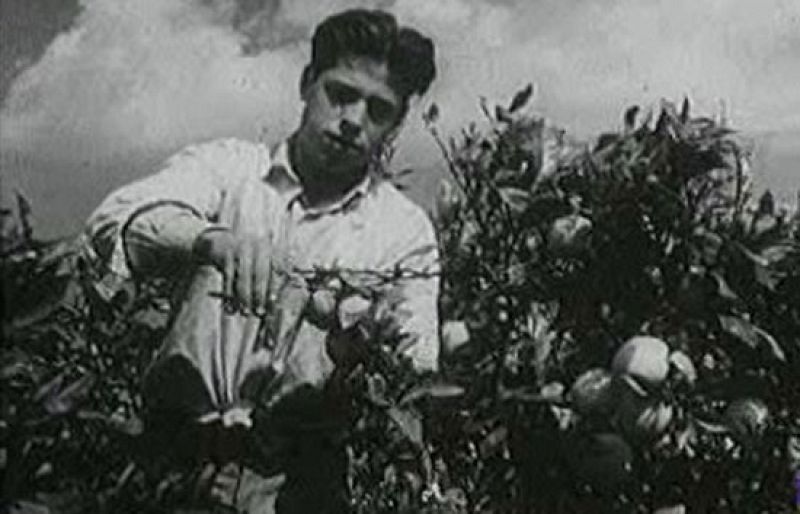 ¿Te acuerdas? - La divisa naranja - ¿Te acuerdas? | Ver