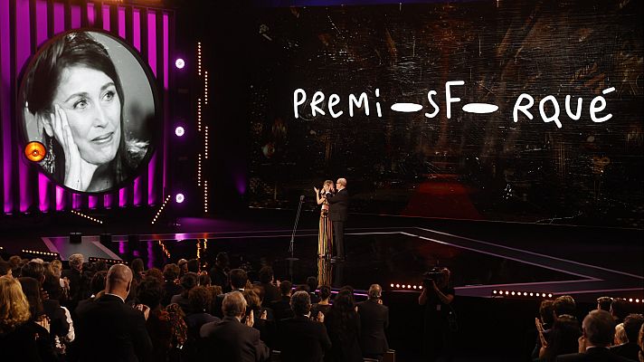 Premios José María Forqué - Gala de los XXVIII Premios José María Forqué