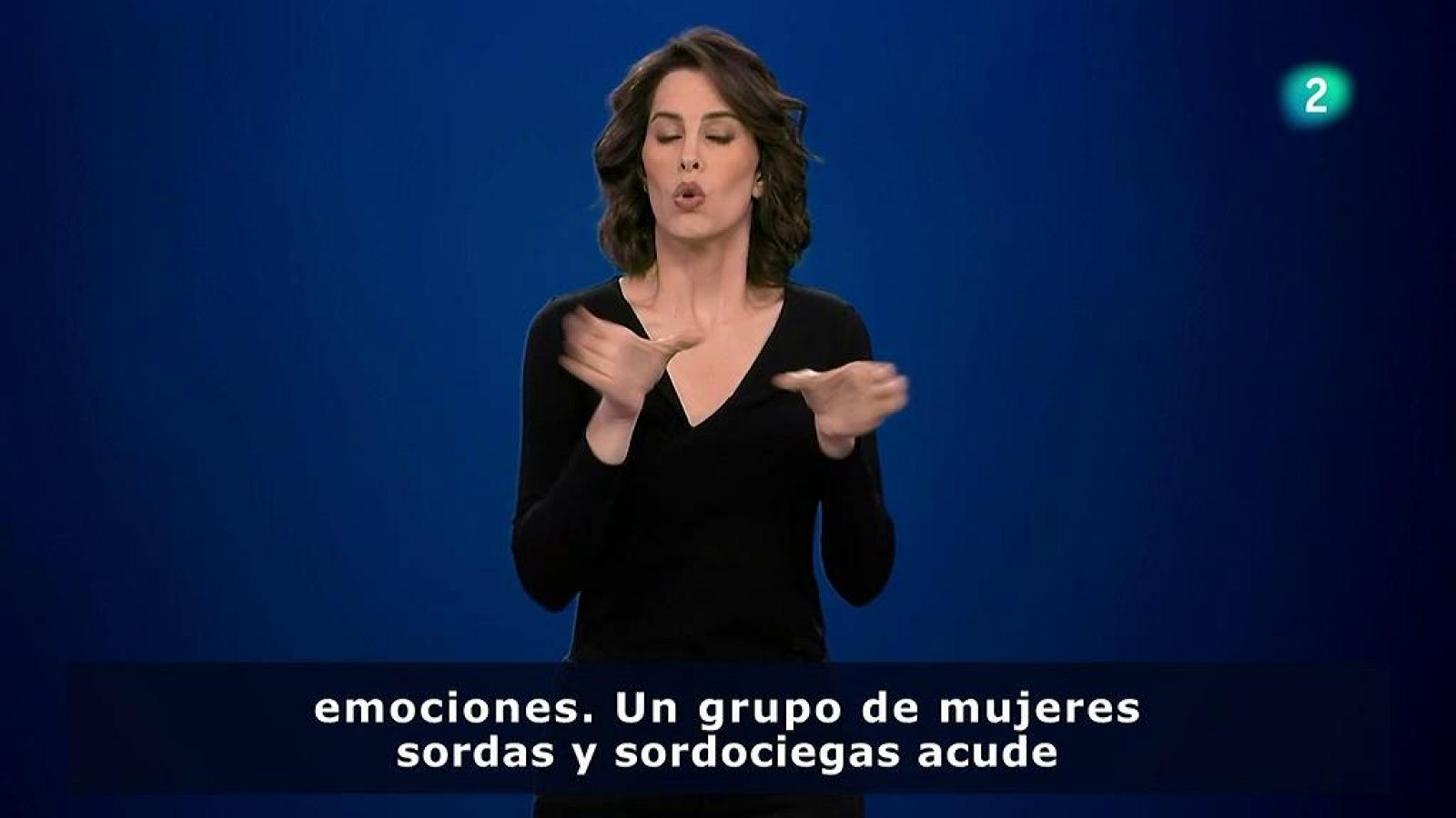 En Lengua de Signos - Talleres de arteterapia en ASORNA - ver ahora