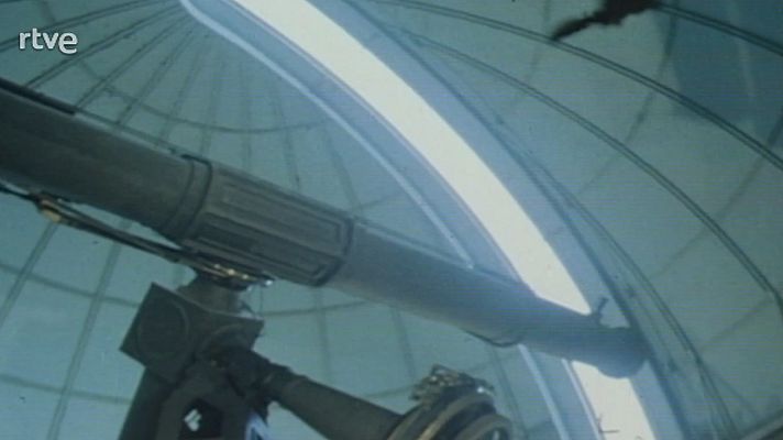 Quitxalla - El Tarota i els seus Nassos: titelles