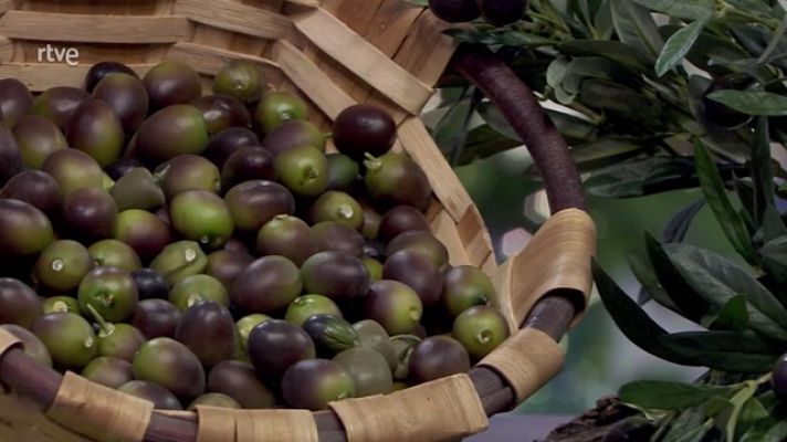 Aquí la Tierra - Aceite picual, características y sabor