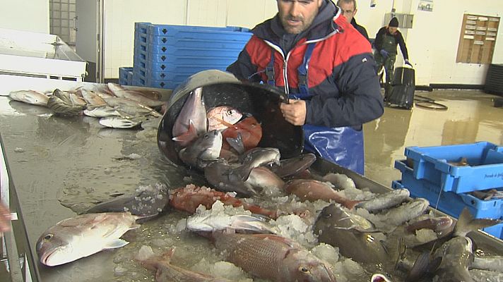 Noticias Andalucía - La pesca pide soluciones